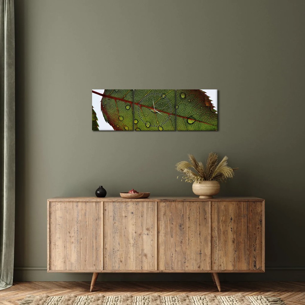 Obraz - List ruže (s hodinami) (90x30 cm)