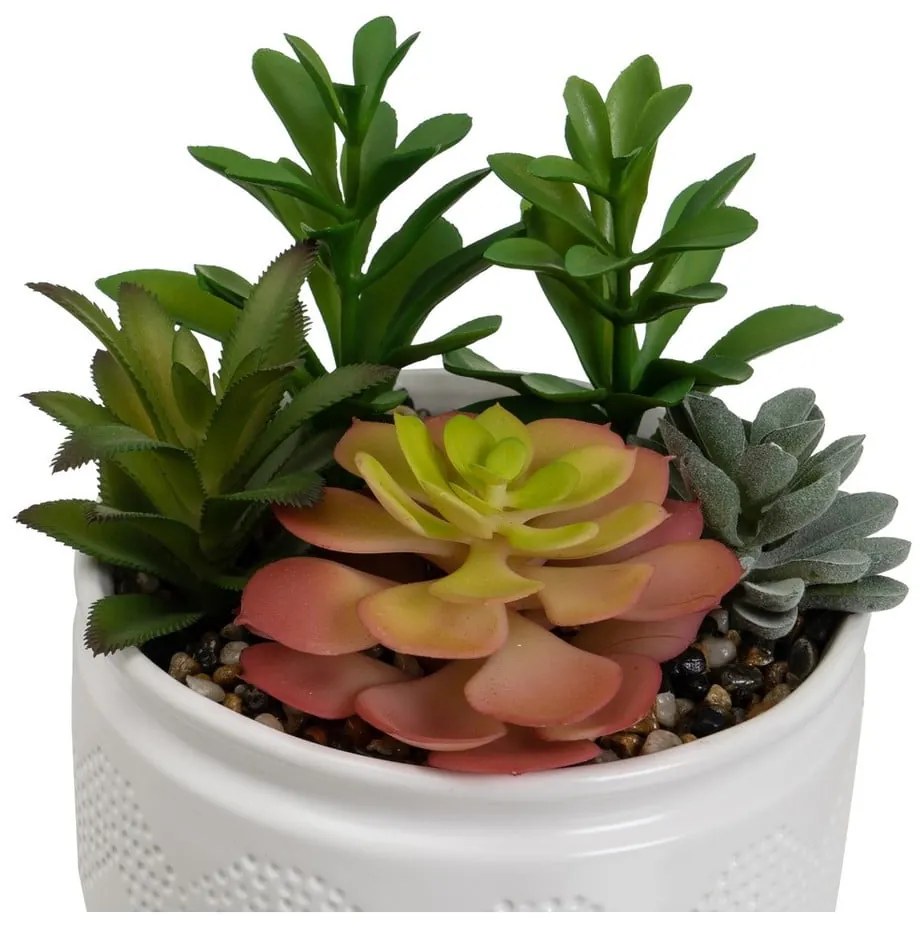 Umelé rastliny v súprave 2 ks (výška 19 cm) Cactus – Casa Selección