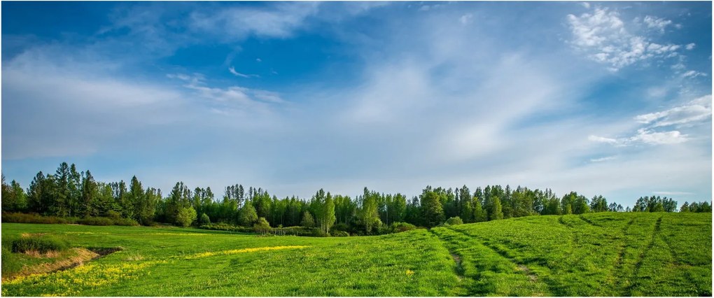 Obraz lúky (120x50 cm)