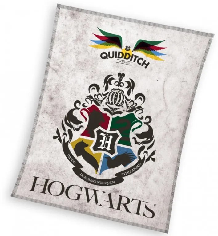 Detská deka Harry Potter Metlobal 130x170 cm