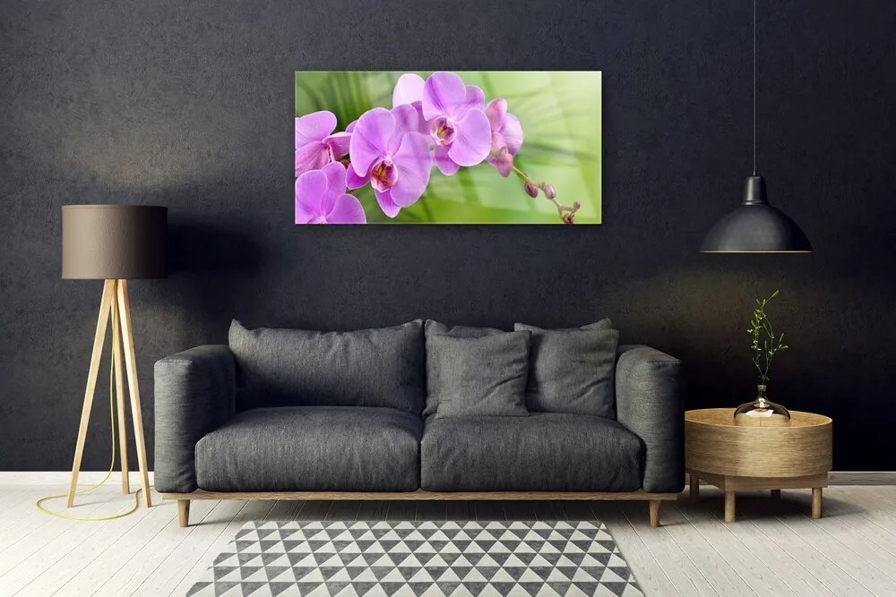 Skleneny obraz Vstavač orchidea kvety 125x50 cm