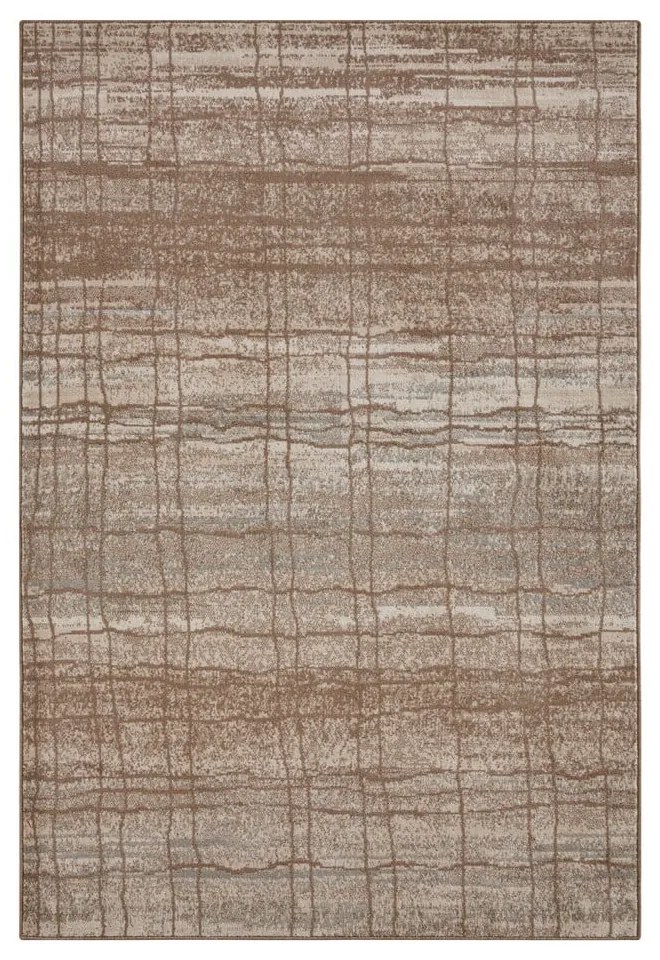 Hnedý/béžový koberec 120x170 cm Terrain – Hanse Home