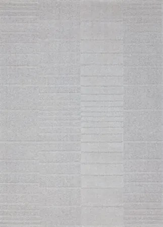 Koberce Breno Kusový koberec FLUX 461 003/AE121, sivá,60 x 120 cm