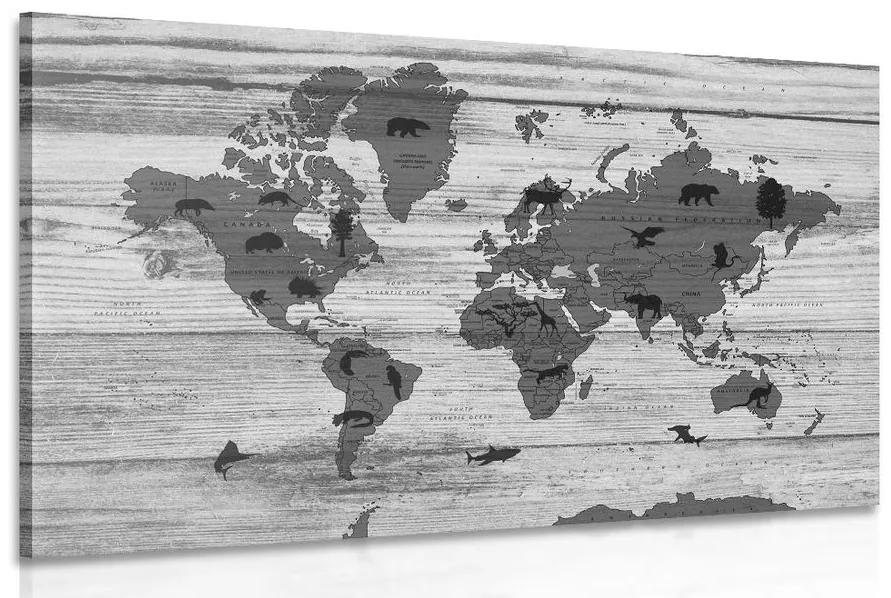Obraz čiernobiela mapa na drevenom podklade Varianta: 120x80