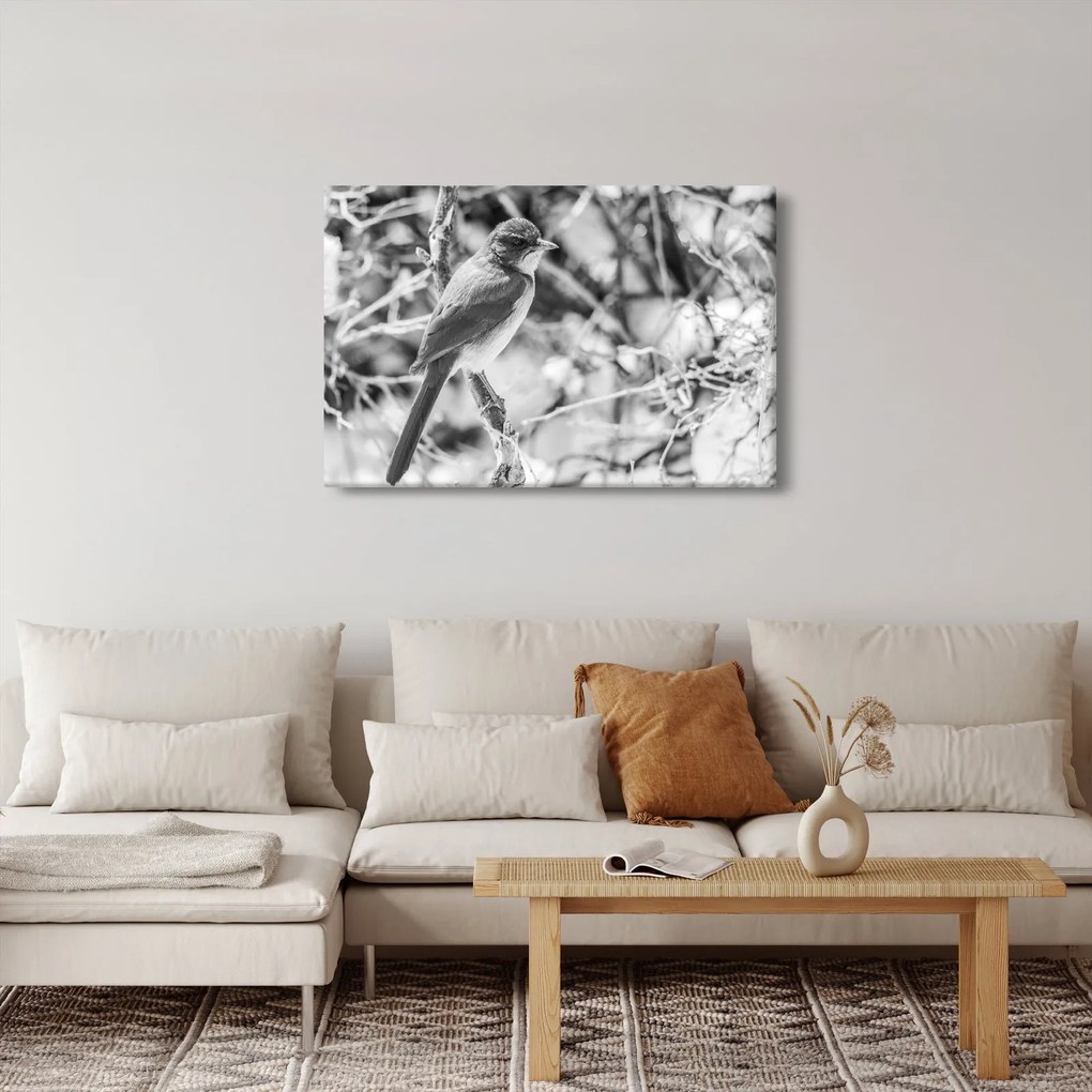Obraz - Modrý vták v zime (90x60 cm)
