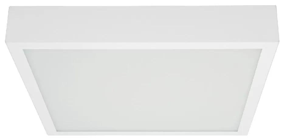 Stropné svietidlo LINEA Box SQ Biela LED 8231