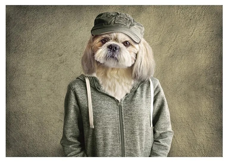 Zelená podlahová rohožka mr. Dog- 75 * 50 * 1cm