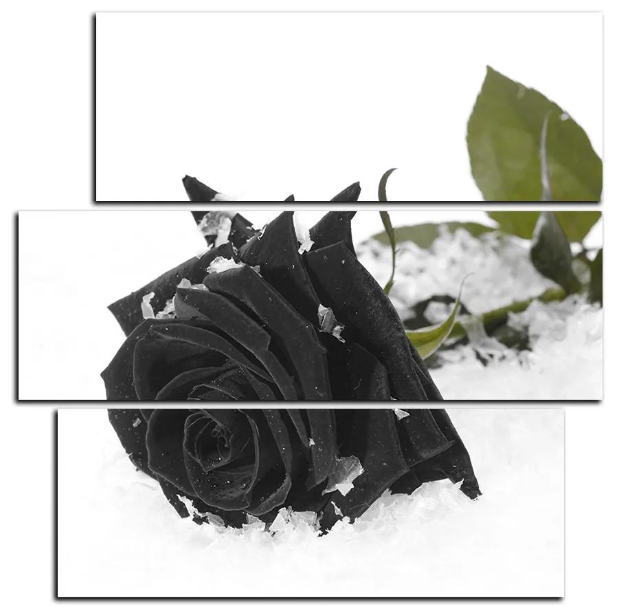 Obraz na plátne - Ruža na snehu - štvorec 3103QC (105x105 cm)