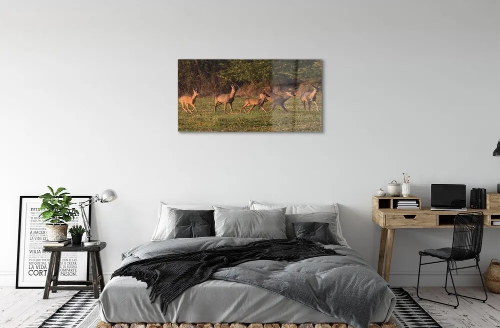 Sklenený obraz Deer Golf svitania 125x50 cm