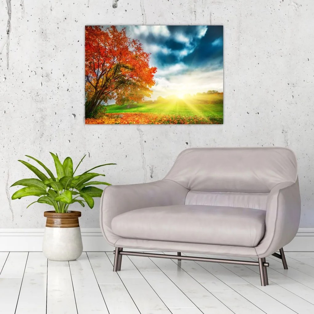 Obraz krajiny zaliate slnečným svitom (70x50 cm)