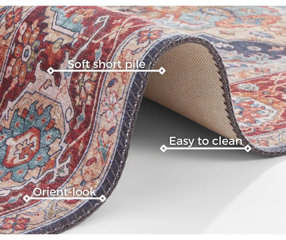 Tmavomodro-červený koberec Nouristan Sylla, 200 x 290 cm