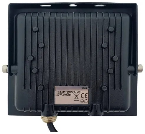 LED Reflektor LED/30W/230V IP65