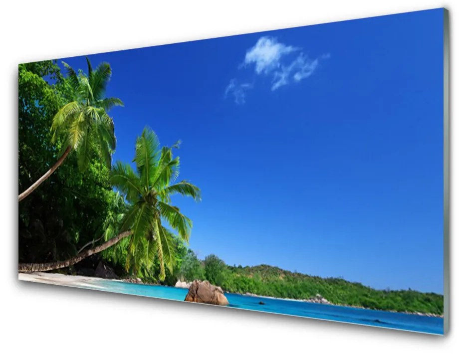 Skleneny obraz Palma stromy pláž krajina 120x60 cm