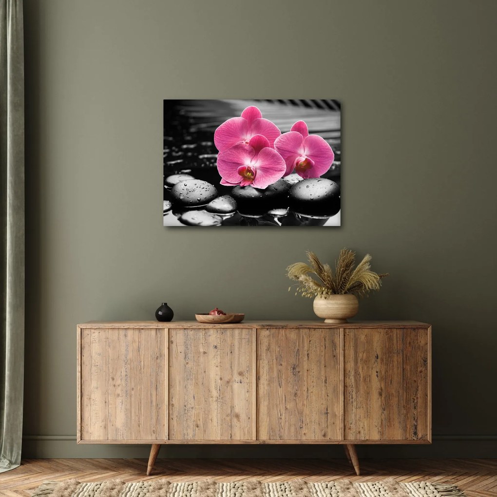 Obraz - Ružové orchidey (70x50 cm)