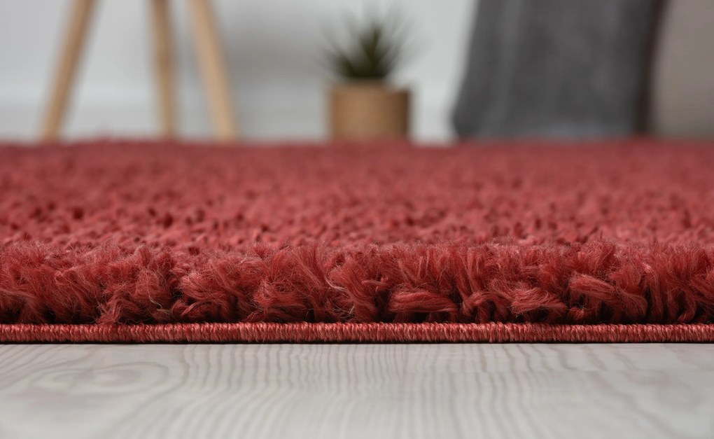 Kusový koberec My Shaggy weinrot, 120x180, červená, chodba / predsieň, My Flair