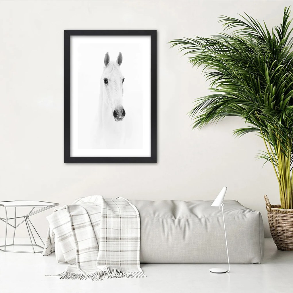 Gario Plagát Sivý kôň Farba rámu: Bez rámu, Rozmery: 70 x 100 cm