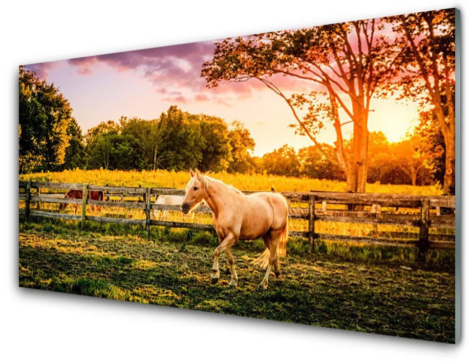 Nástenný panel  Kôň lúka zvieratá 140x70cm