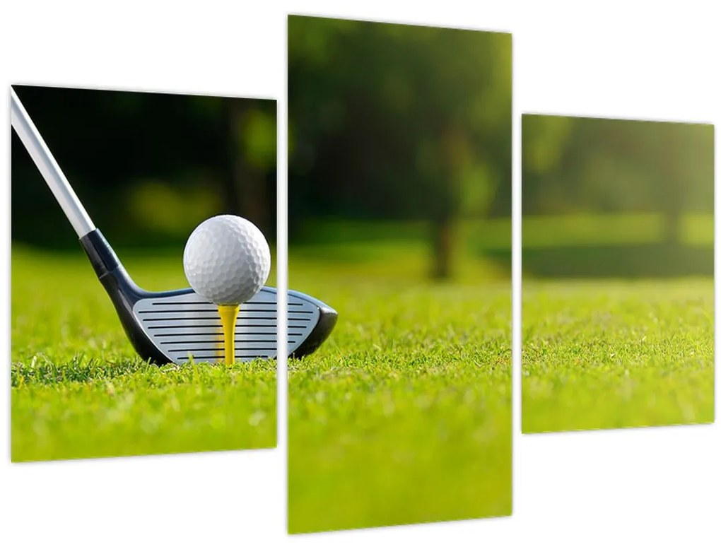 Obraz - Golf (90x60 cm)