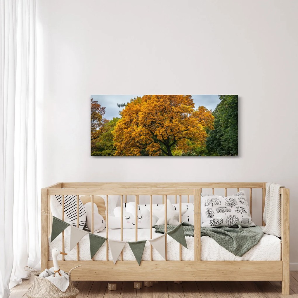 Obraz stromu (120x50 cm)