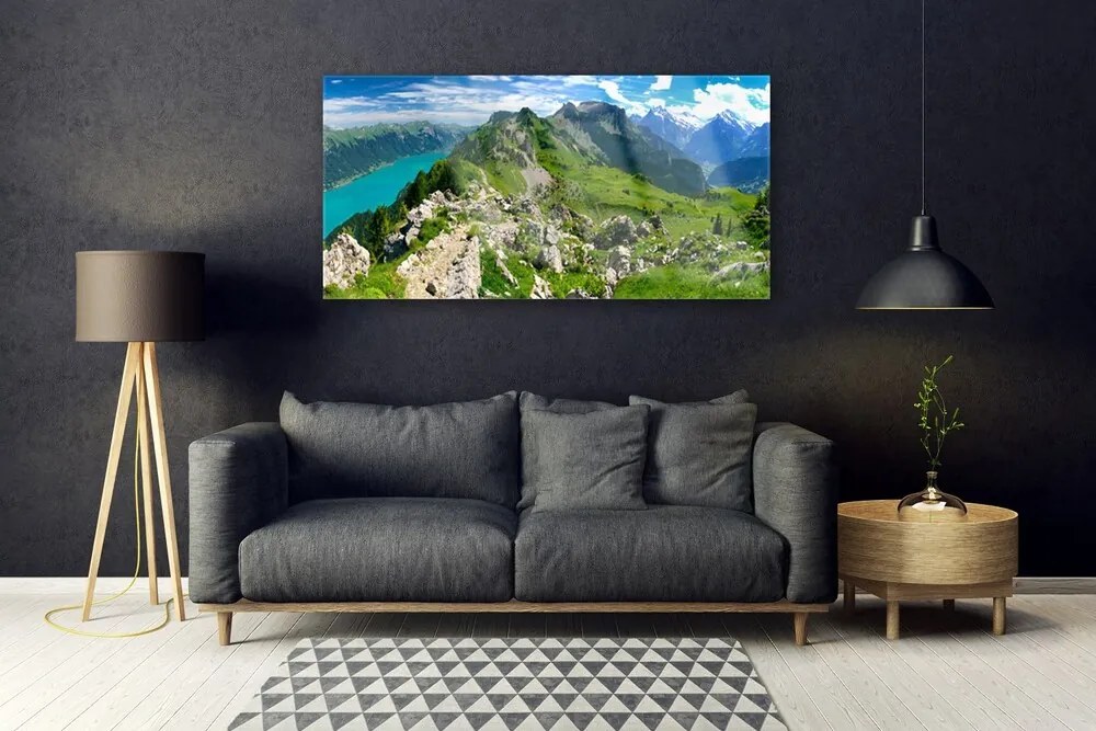 Obraz plexi Lúka hory príroda príroda 120x60 cm