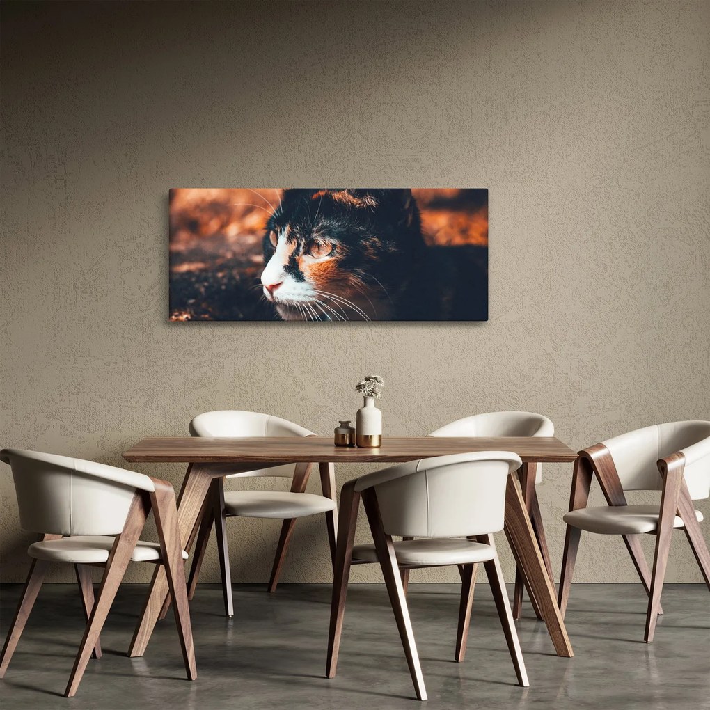 Obraz - Pohľad mačky (120x50 cm)