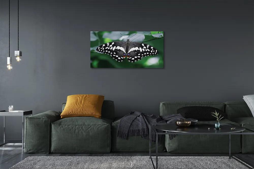 Obraz na plátne Farebný motýľ lístia 120x60 cm