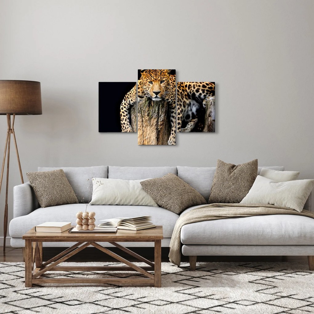 Obraz - Gepard (90x60 cm)