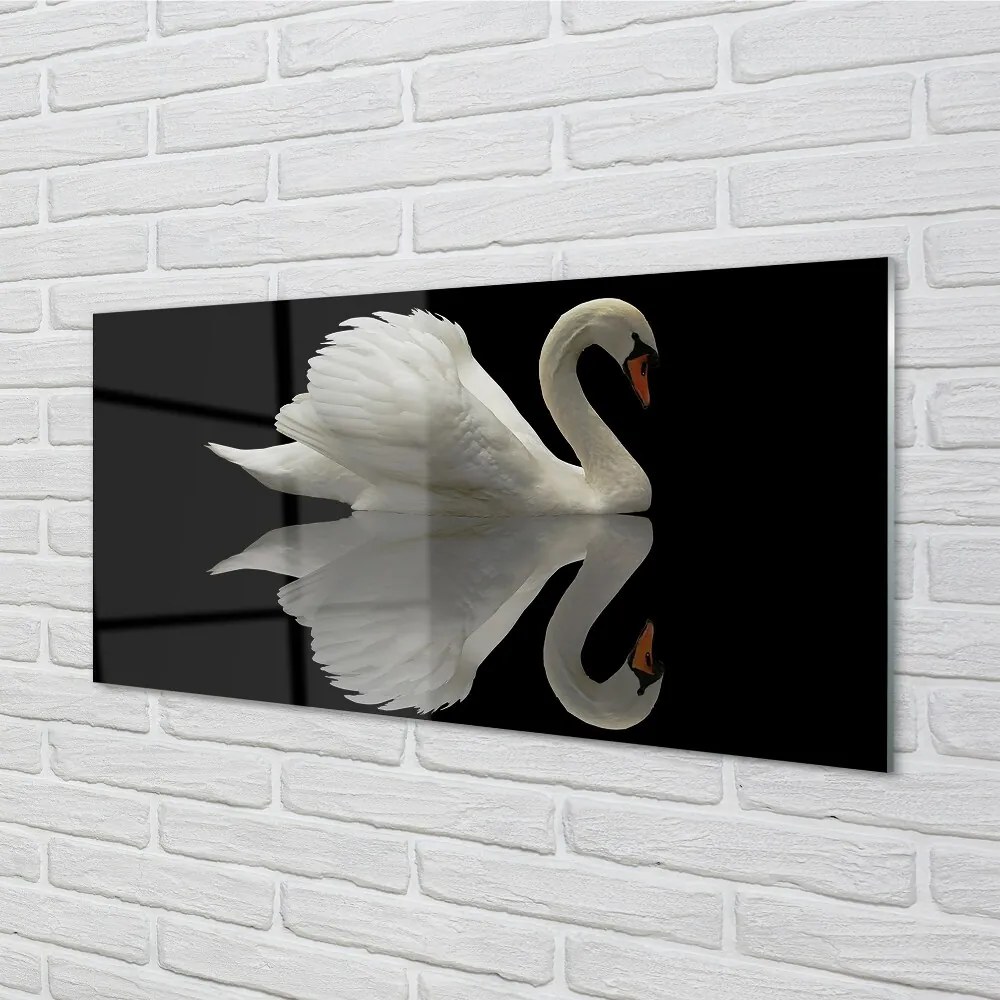 Sklenený obraz Swan v noci 100x50 cm 2 Prívesky