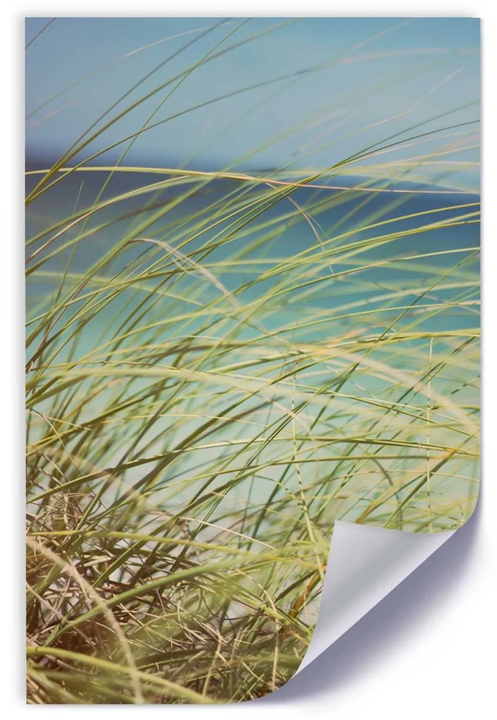 Gario Plagát Zelené trávy na pozadí mora Farba rámu: Bez rámu, Rozmery: 20 x 30 cm