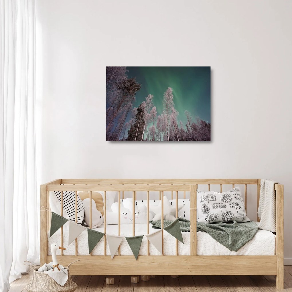 Sklenený obraz polárna žiara nad zamrznutými stromami (70x50 cm)