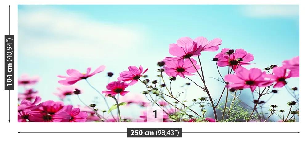 Fototapeta Vliesová Neba kvetina 152x104 cm