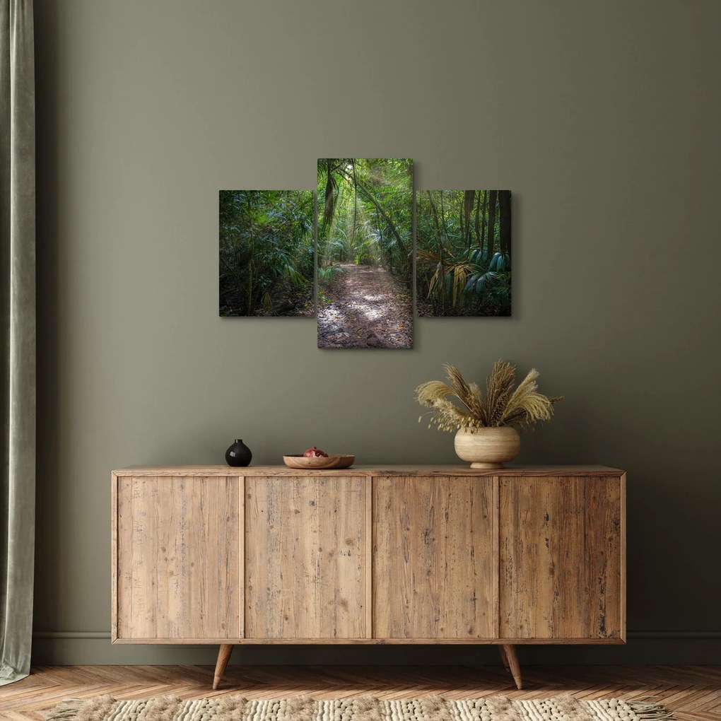 Obraz - Slnečné lúče v džungli (90x60 cm)