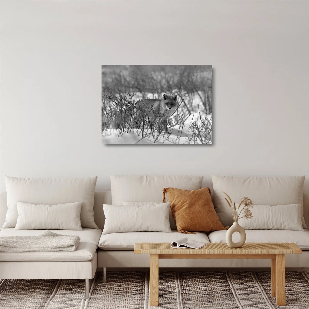 Sklenený obraz - Líška v zime (70x50 cm)