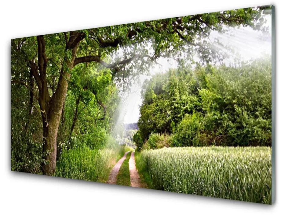 Skleneny obraz Stromy chodník príroda 100x50 cm