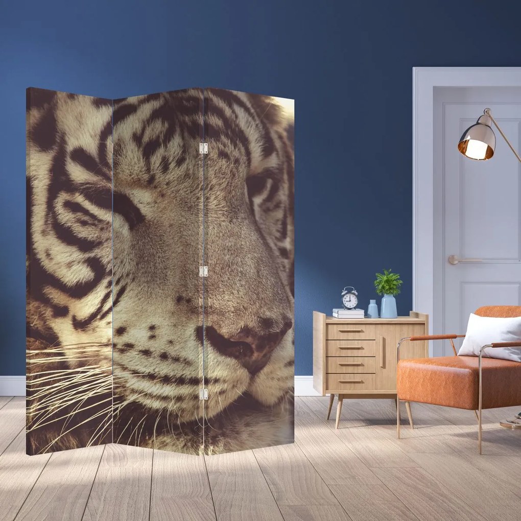 Paraván - Tiger (126x170 cm)