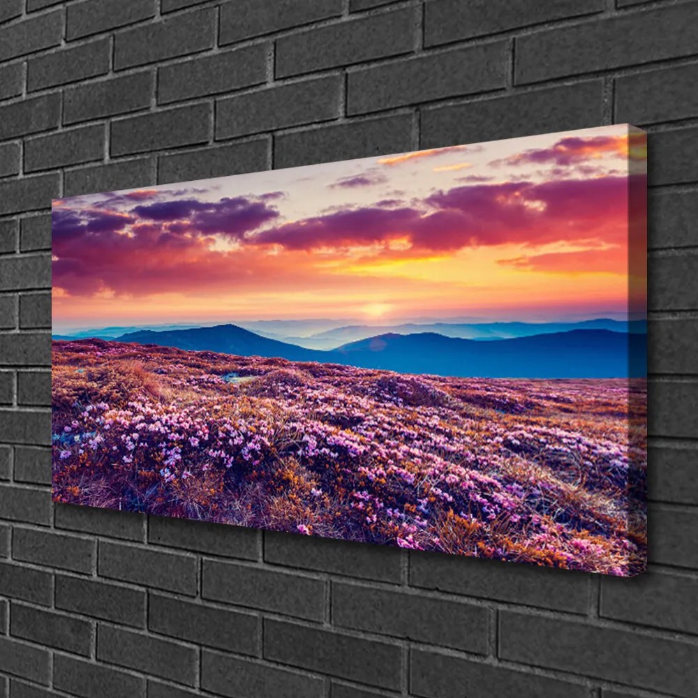 Obraz na plátne Lúka hory kvety príroda 120x60 cm
