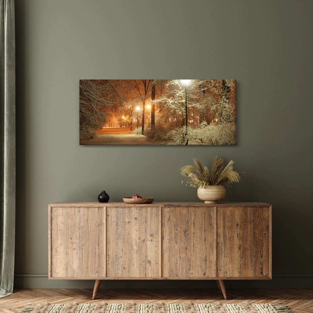 Obraz - Zasnežený park (120x50 cm)