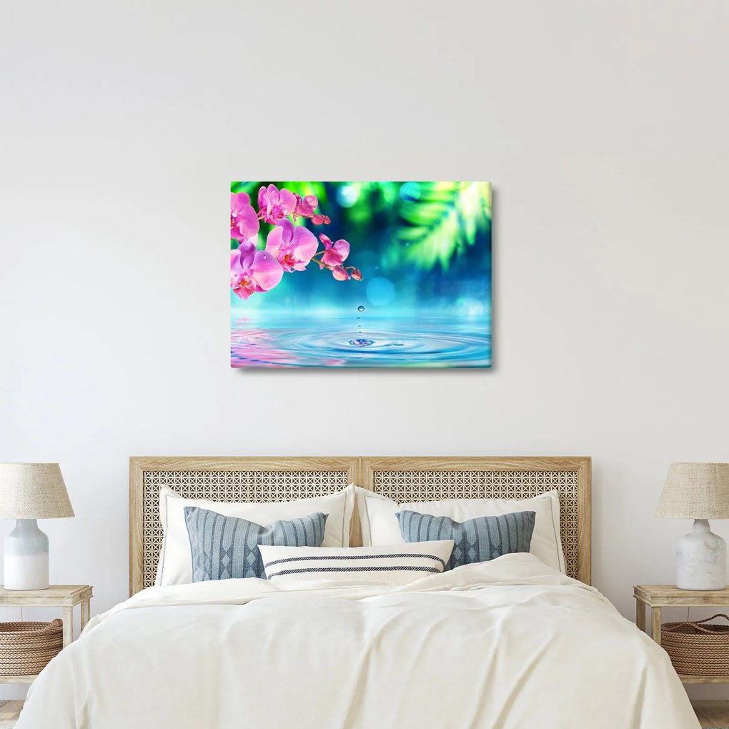 Obraz - Orchidea (70x50 cm)
