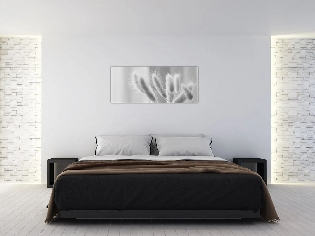 Obraz - Bunny tail grass (120x50 cm)