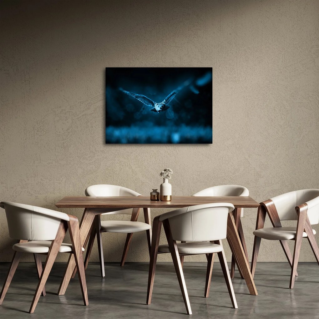 Obraz letiacej sovy (70x50 cm)