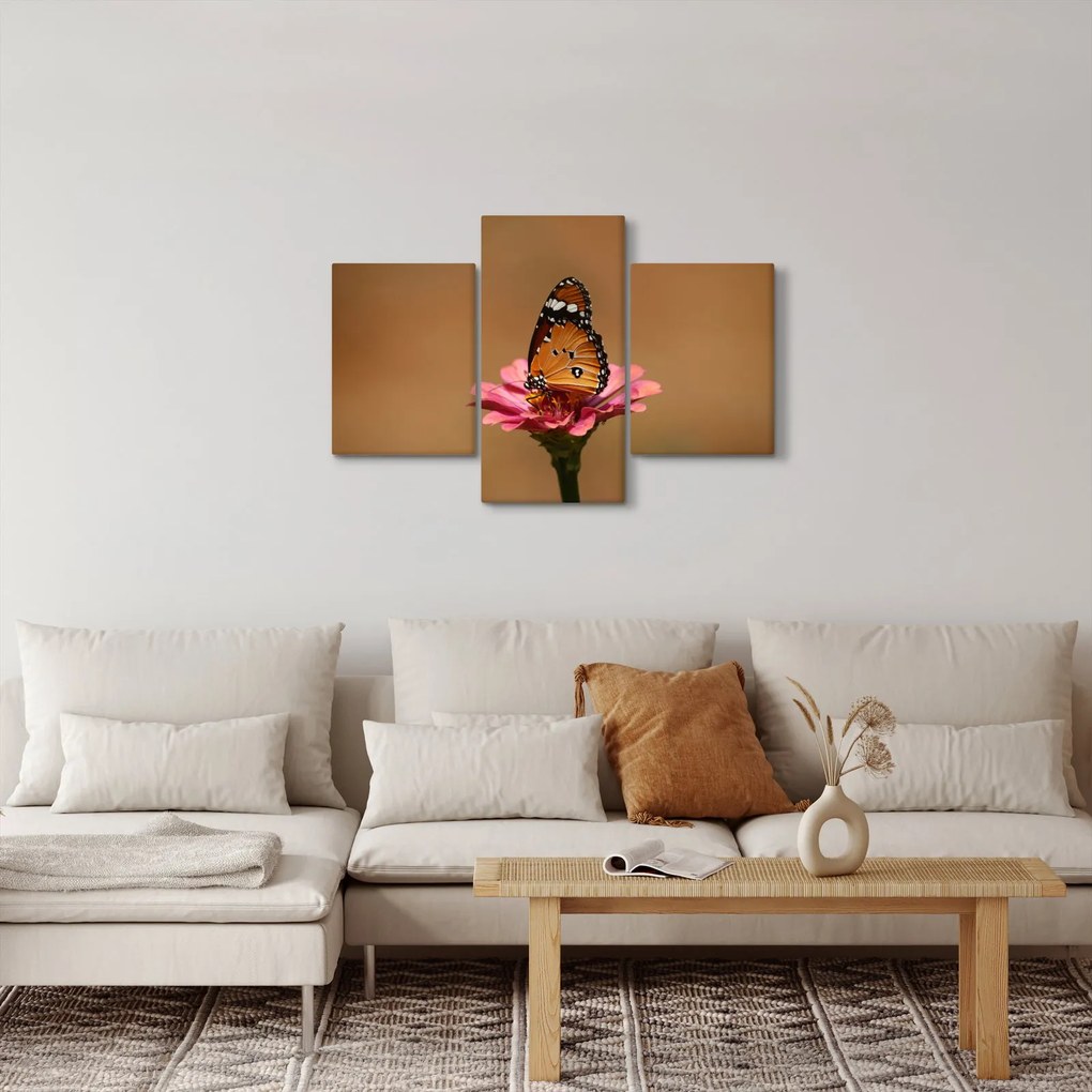 Obraz motýľa na kvetine (90x60 cm)