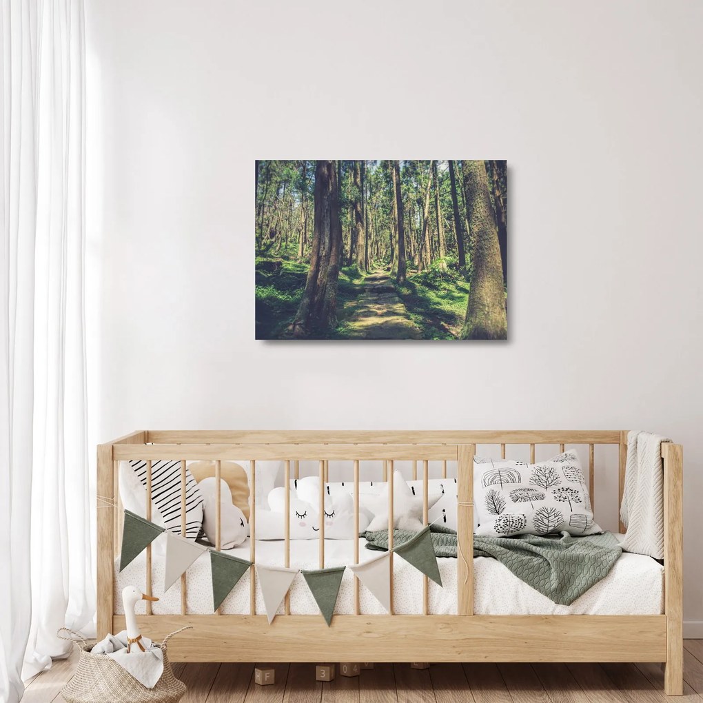 Sklenený obraz cesty medzi stromami (70x50 cm)