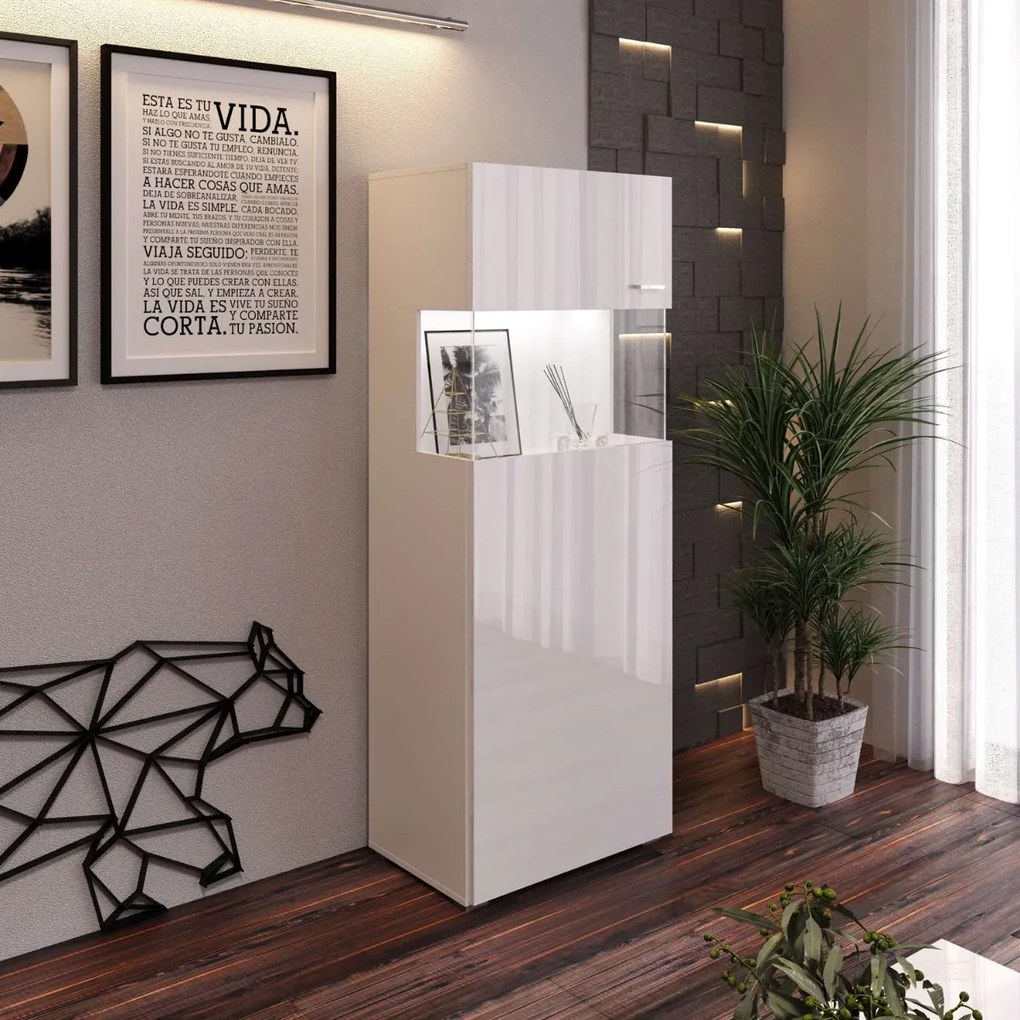 VITRÍNA ALEX BIELY LESK 50 x 130 cm