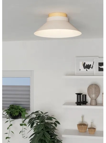 Eglo 900736 - Stropné svietidlo MOHARRAS 1xE27/40W/230V