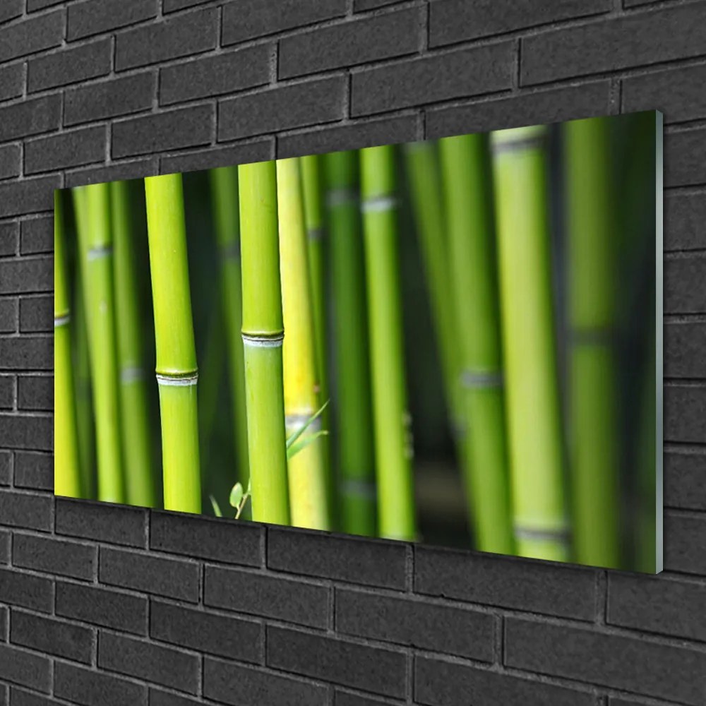 Obraz na skle Bambus príroda rastlina 140x70 cm