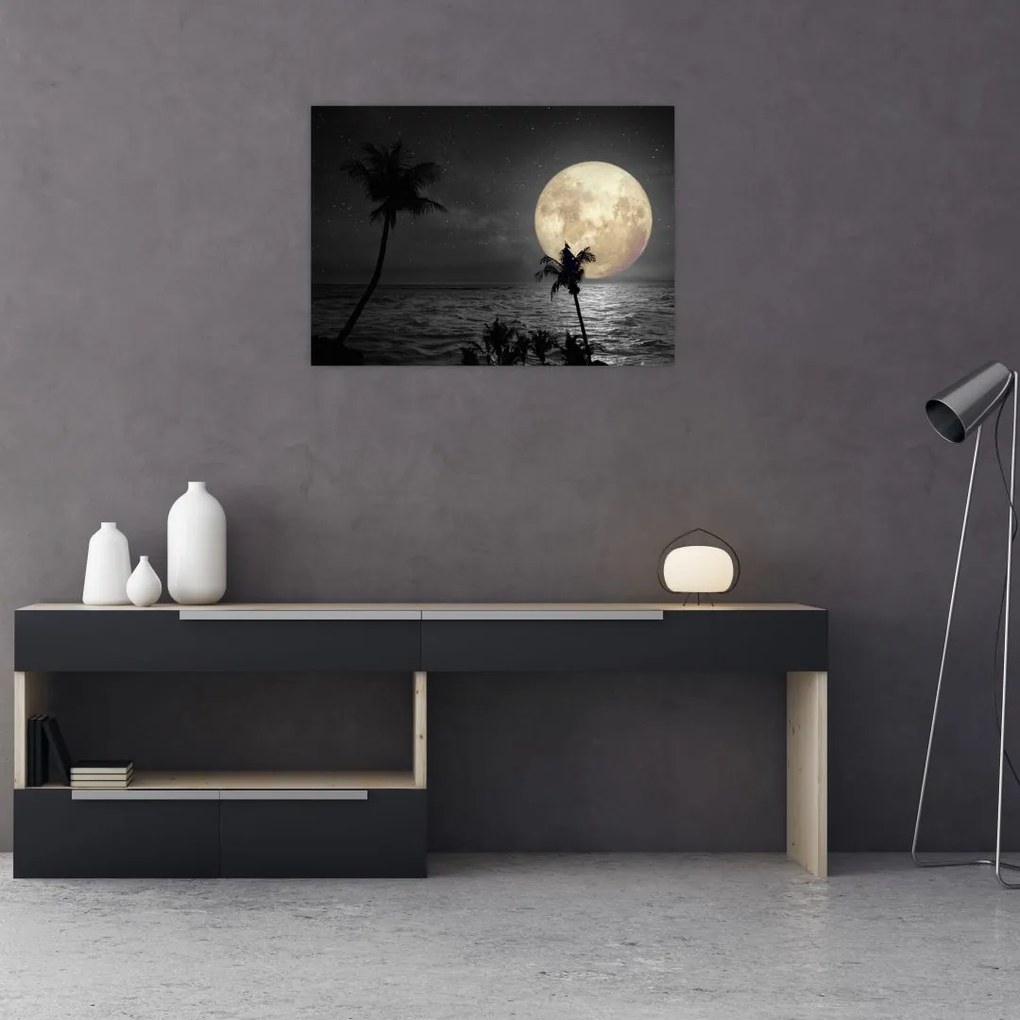 Sklenený obraz - Pláž za splnu v šedých tónoch (70x50 cm)