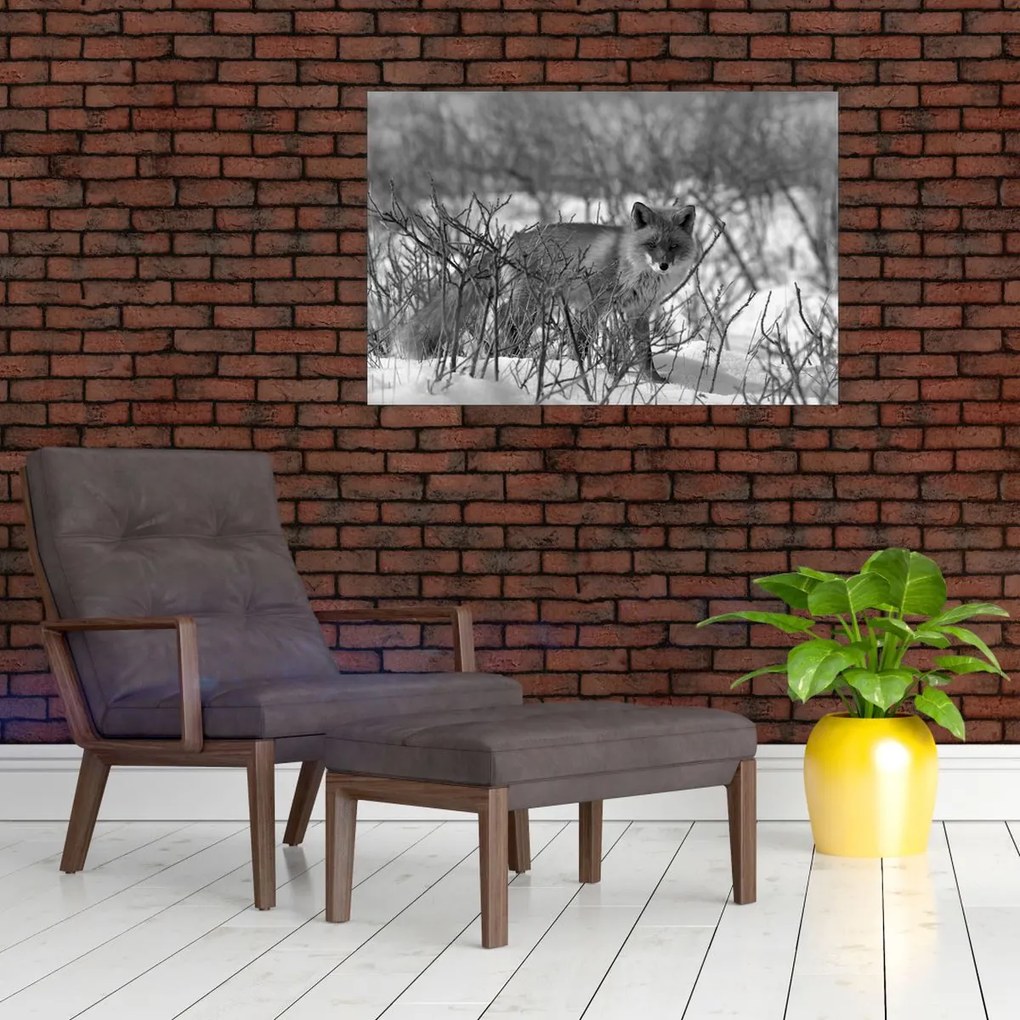Obraz - Líška v zime (90x60 cm)