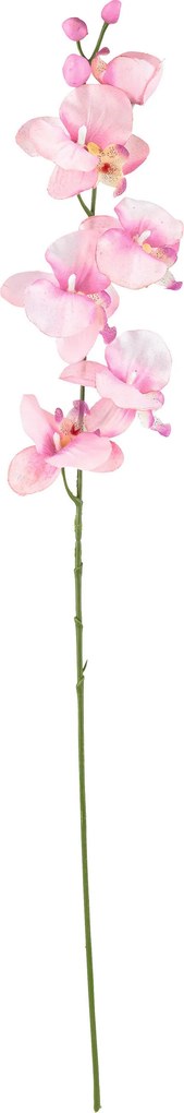 XXXLutz UMELÝ KVET orchidea 72 cm - Kvety & kvetináče - 0041770761