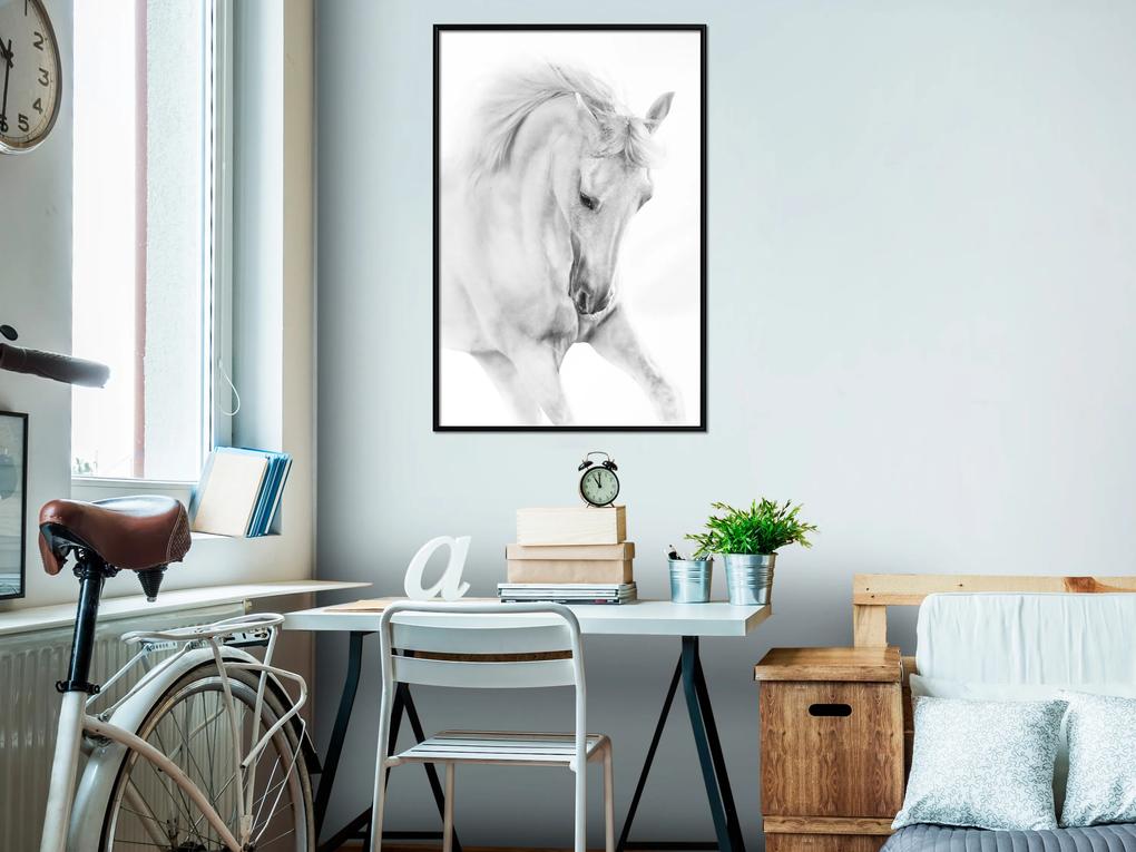 Artgeist Plagát - White Horse [Poster] Veľkosť: 20x30, Verzia: Čierny rám