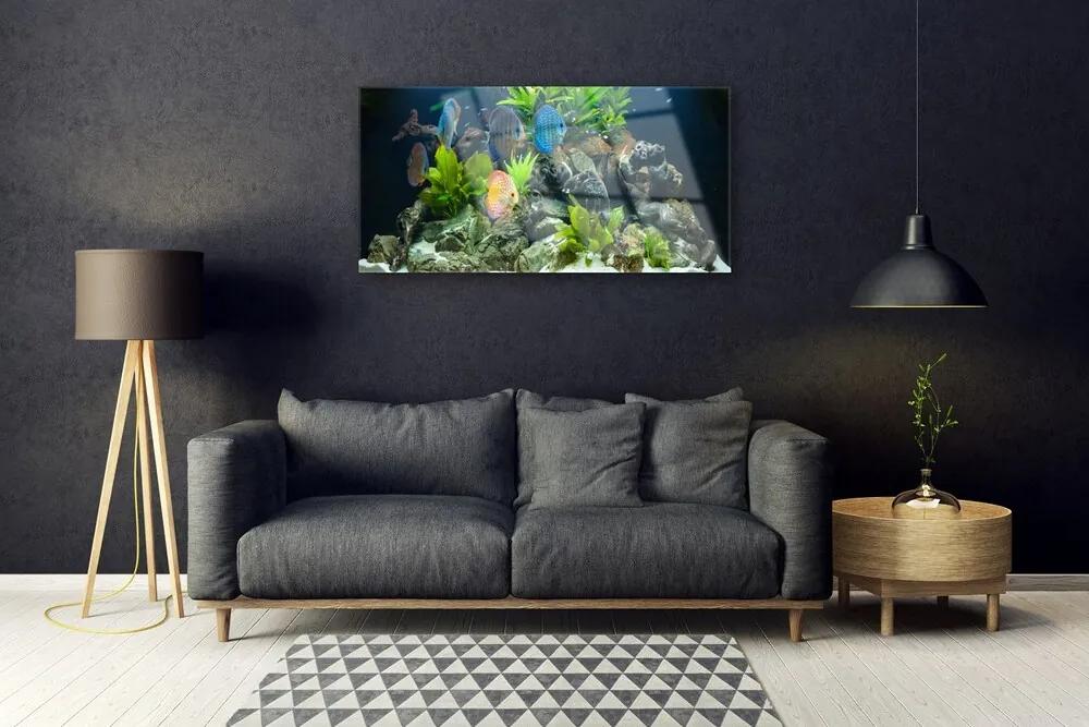 Skleneny obraz Ryba kamene listy príroda 125x50 cm